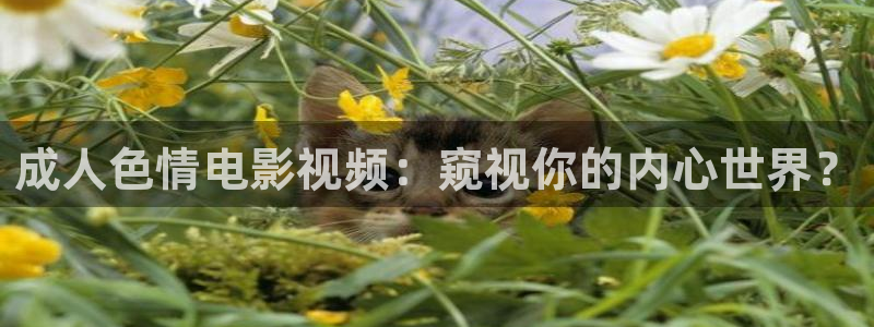 蜜桃视频下载安装蜜桃：成人色情电影视频：窥视你的内心世界？