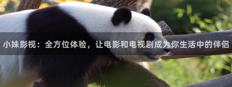 蜜桃av久久影视：小妹影视：全方位体验，让电影和电视剧成为你生活中的伴侣