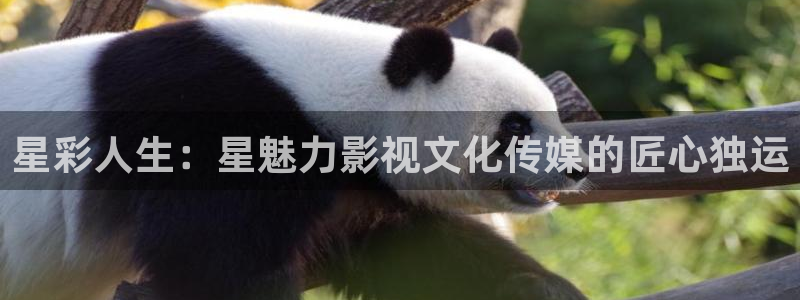蜜桃av在线影院
