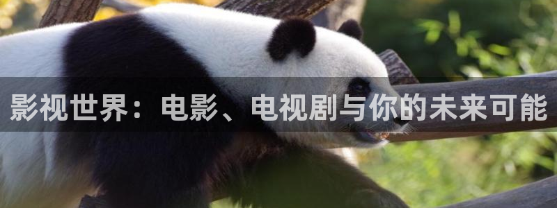 蜜桃影视网